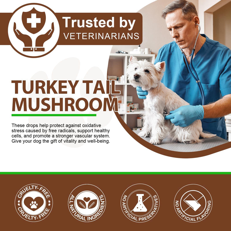 Turkey Tail Mushroom Supplement for Dogs - Liquid Formula with Probiotics & Turmeric, Supports Immune System, Digestive Health, and Joint Flexibility - Delicious Bacon Flavor (120ML) Pack of 1