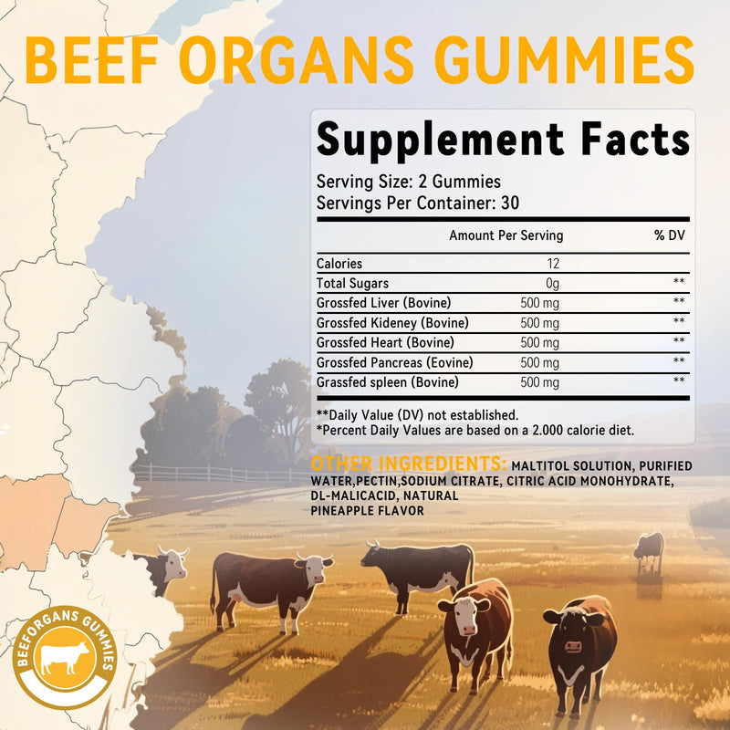 Beef Organ Supplement for Women：Grass Fed Beef Organ Gummies Supplement, Wellness with Liver Heart Kidney Pancreas Spleen Supports Women's Overall Energy and Health Non-GMO(60 Gummies)