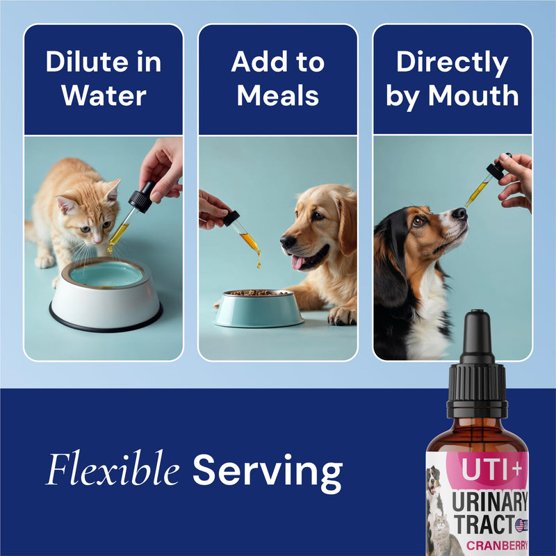 Cat & Dog UTI Treatment - UTI Medicine & Urinary Tract Infection Treatment for Pets - Kidney Support - Bladder Control for Dogs Incontinence - Cat UTI Remedy - Cranberry Supplement - US Made - 2fl.oz UTI Supplement - PawsPlanet Australia