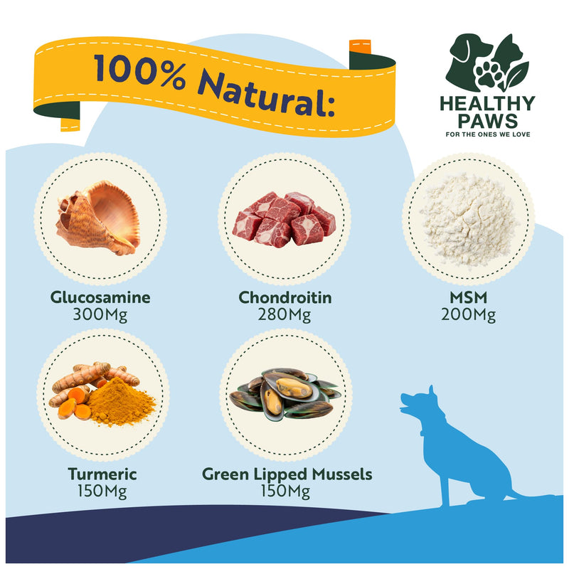 Healthy Paws Joint & Hip Treats for Dogs – Glucosamine, MSM, Chondroitin, Curcuma, Green-Lipped Mussels & Vitamin E – Supports Mobility, Flexibility, Strength & Stiffness Relief