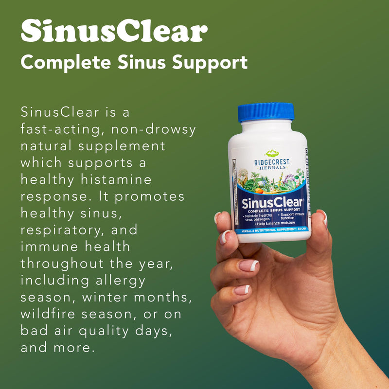 RidgeCrest Herbals SinusClear Mullein Sinus, Nasal and Immune Support 60 Ct | 30 Servings, Mullein Leaf, Bromelain, Vitamin C, Zinc, Natural Mucus and Respiratory Wellness, Vegan Herbal Formula