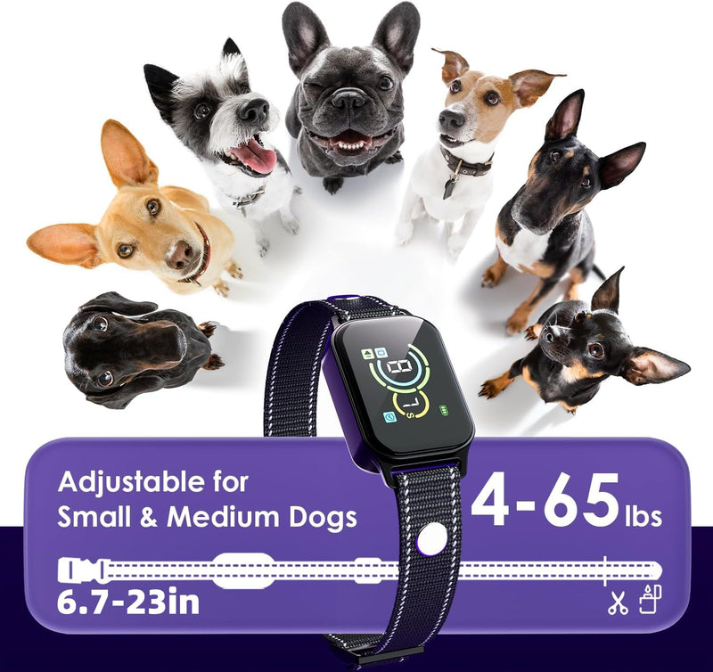 Dog Bark Collar 2 Pack,No Shock Rechargeable Smart Barking Collar for Small Medium Mini Dogs,Anti-Bark Collar for Small Dogs,Barking Collar with Beep Vibration Humane No Shock Barking Collar(2 Pack) Black+white - BeesActive Australia