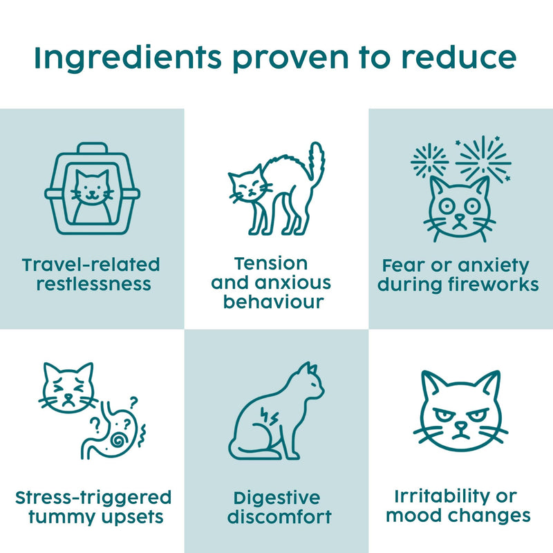Cat Calming Powder Supplement - Stress & Anxiety Relief for Cats, Contains L-Tryptophan for Sleep Aid During Travel, Cat Probiotics for Digestive Support & Brain Gut-Axis | 100g (Catnip)