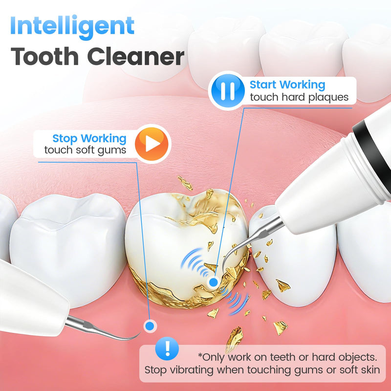 Plaque Remover for Teeth, Tartar Remover with 4 Tips