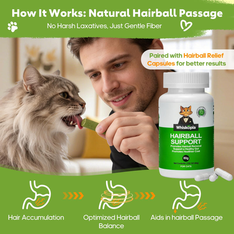 3.53oz Cat Grass Sticks for Indoor Cats Freeze-Dried Cat Grass Teething Treats for Hairball Control, Gut Health & Dental Care Natural Chicken Kitten Crunchy Training Snacks 3.53 Ounce (Pack of 1)