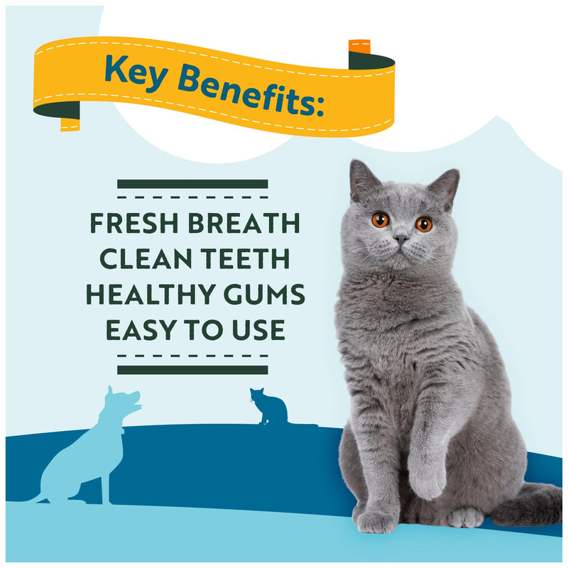Healthy Paws Dental Water Additive for Dogs & Cats - Supports Clean Teeth, Fresh Breath & Healthy Gums - Plaque & Tartar Control - No Brushing Needed
