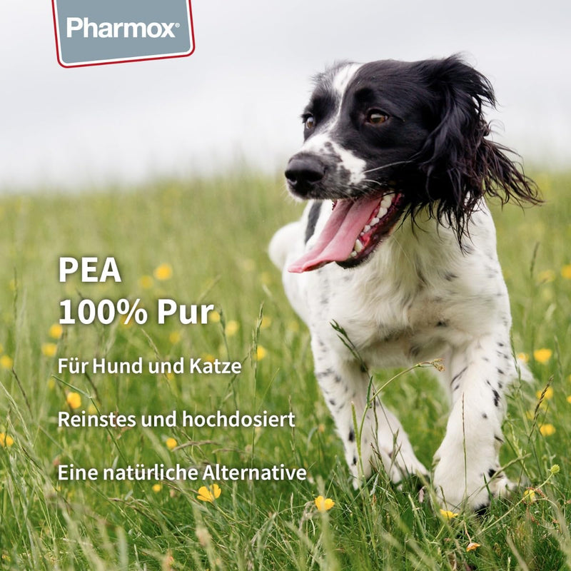 Pharmox Dog & Cat PEA (Palmitoylethanolamide) - 100% Pure - 60 Capsules - High Dose - BeesActive Australia