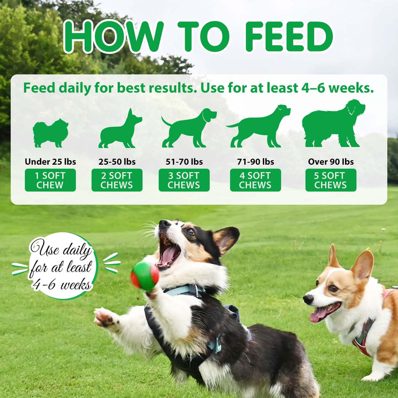 Probiotics for Dogs, Probiotics and Digestive Enzymes Chews for dogs, Canine Supplements for Digestive and Immunity Support, Gut Flora Balance, Improve Digestion & Immunity,120 Chews Duck 2.5 g (Pack of 120)