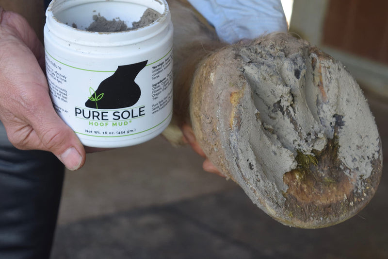 Thrush Treatment for Horses - Pure Sole Hoof Mud - Hoof Clay for Horses - A Horse Hoof Care Product for Thrush, White Line, and Hoof Wall Separation | Use Regularly for A Healthy Hoof. - 16 oz. - BeesActive Australia