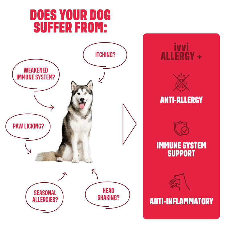 ivvi Allergy for Dogs - Against Allergies & Itching and Strengthening the Immune System - 60 Delicious Snacks (270 g) with Salmon