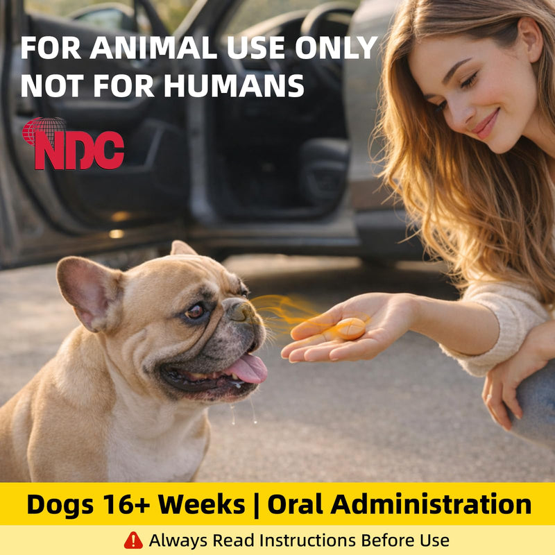 Tablets (Maropitant Citrate) Anti-Motion Sickness and Nausea Relief for Dogs, Relief for Disorientation/Dizziness,24mg, 10Tablets 24.0mg