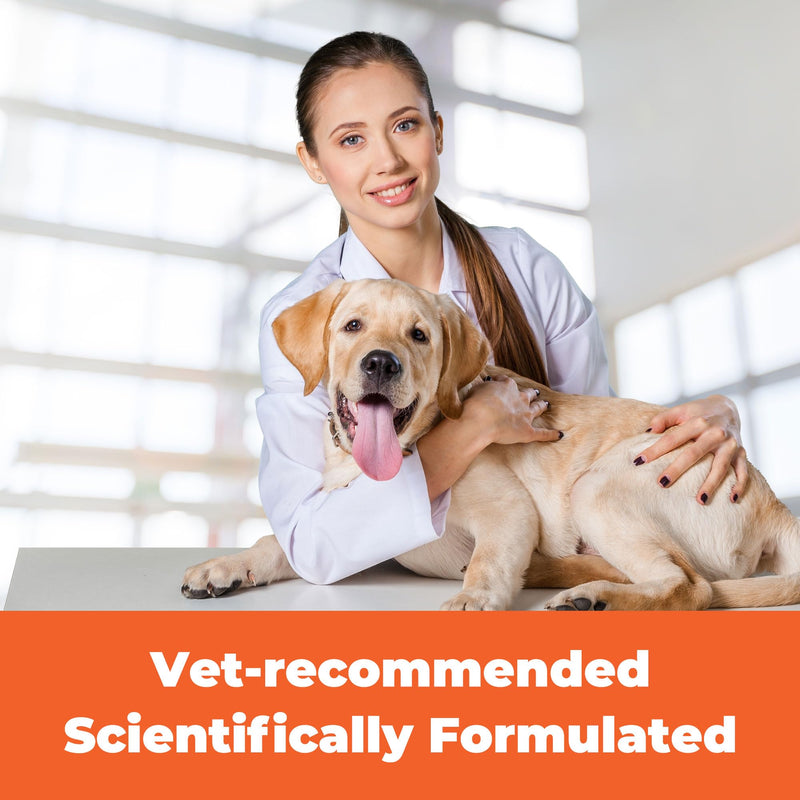 Trio Dewormer for Dogs, Tablets for Tapeworms, Roundworms & Hookworms, Pyrantel Pamoate/Praziquantel, for Medium and Large Dogs Over 25 lbs, 50 Tablets
