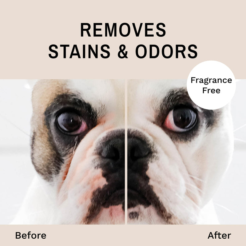 Eye Envy Bulldog Wrinkle Wipes. Wrinkle Wipes for French Bulldog, Pug, English Bulldog. Cleans Wrinkles, Bulldog Tail Pockets. Removes Stains and Odors. Natural, Unscented Wipes. USA Made. 60 Count - PawsPlanet Australia