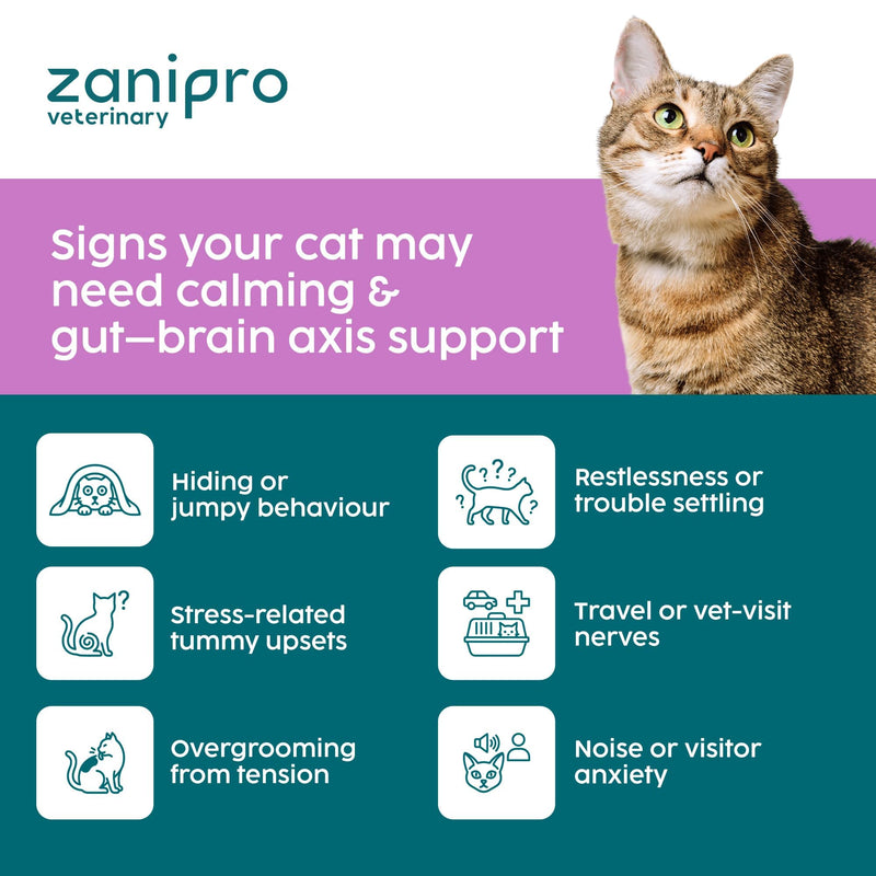 Cat Calming Powder Supplement - Stress & Anxiety Relief for Cats, Contains L-Tryptophan for Sleep Aid During Travel, Cat Probiotics for Digestive Support & Brain Gut-Axis | 100g (Catnip)