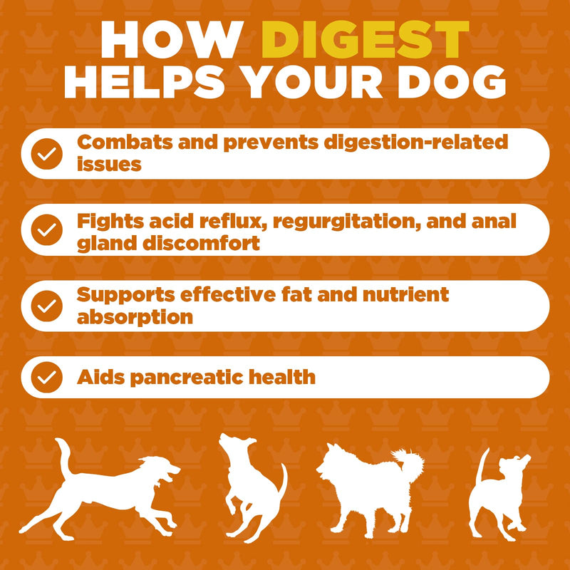 ProDog Digest Gut & Digestive Health with Prebiotics & Fibre Supplement (90 Gram) 90 Gram