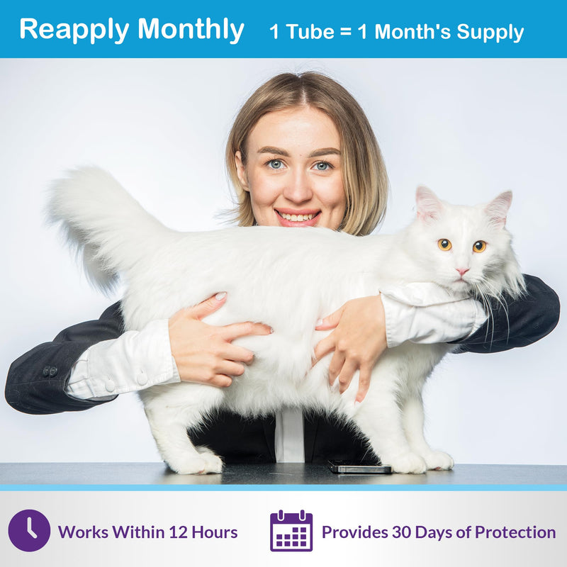 Topical Flea and Tick for Large Cats: Waterproof Topical Cat Flea and Tick – Fast-Acting & Long-Lasting at Home Control for Cats Over 9 lbs and 8 Weeks or Older – 6-Dose Supply L-6