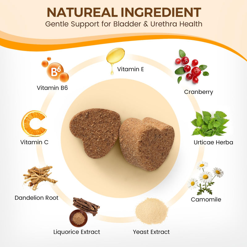 Dogs UTI Chews, Anti Yeast Supplements for Dogs, Support Bladder Control, Maintains Urinary System Health and Immune System Function, Contains cranberry, Yeast Extract and Vitamins, 200 Count
