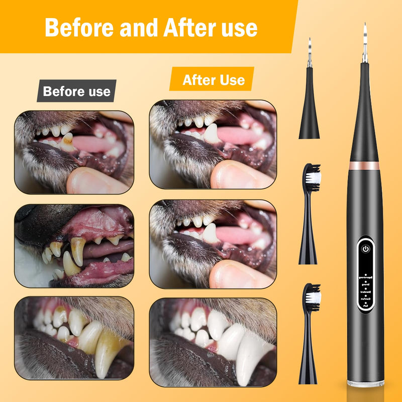 Dog Plaque Remover, Pet Teeth Cleaning Products, Dog Tartar Remover with 6 Modes and Complete Care Kit for Dogs and Cats, Rechargeable, Black