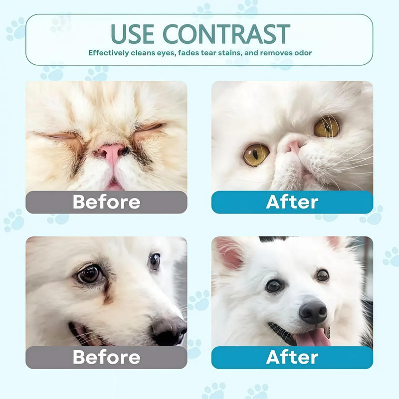AINxtolm Cat and Dog Eye Gel,Pet Eye Gel for Dogs and Cats,Eye Care for Dogs and Cats,Dog Eye Cleaner,Soothes Redness Gel,Eye Gel for Dry Eyes,Dog Eye Drops for Gunky Eyes,Dry Eye Drops for Dogs,5g