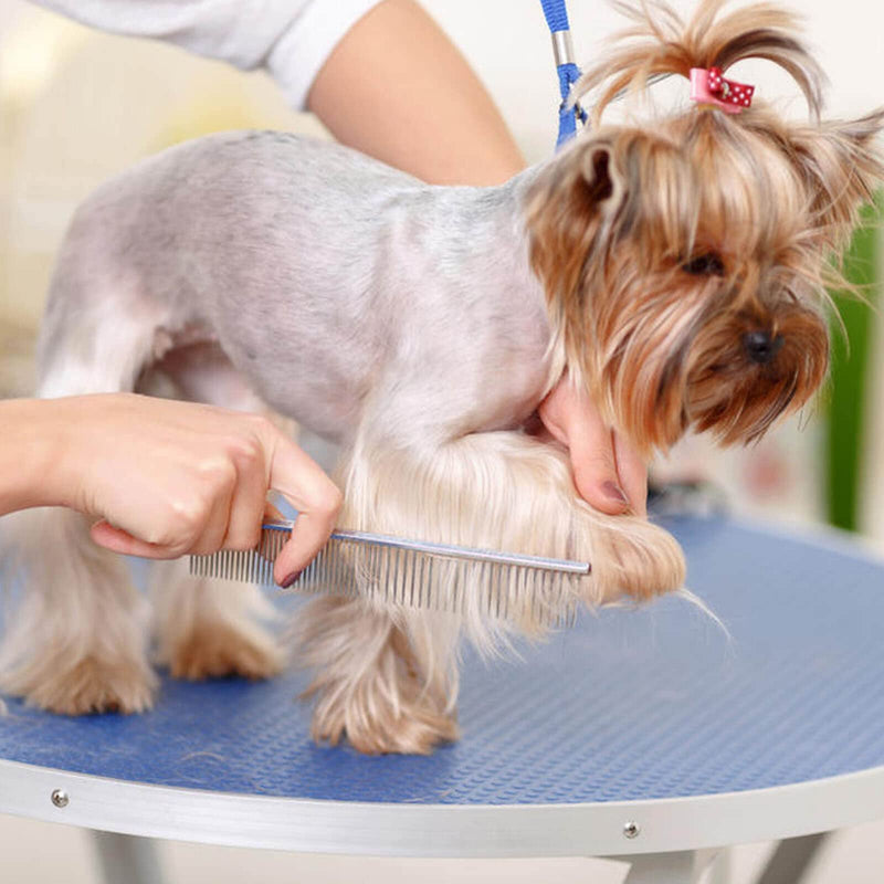 2 Pack Dog Combs, Premium Cat Comb for Removing Tangles, Knots and Floating Hair. Stainless Steel Dog Grooming Tools, Metal Flea Comb, Pet Combs with Rounded Teeth. - BeesActive Australia