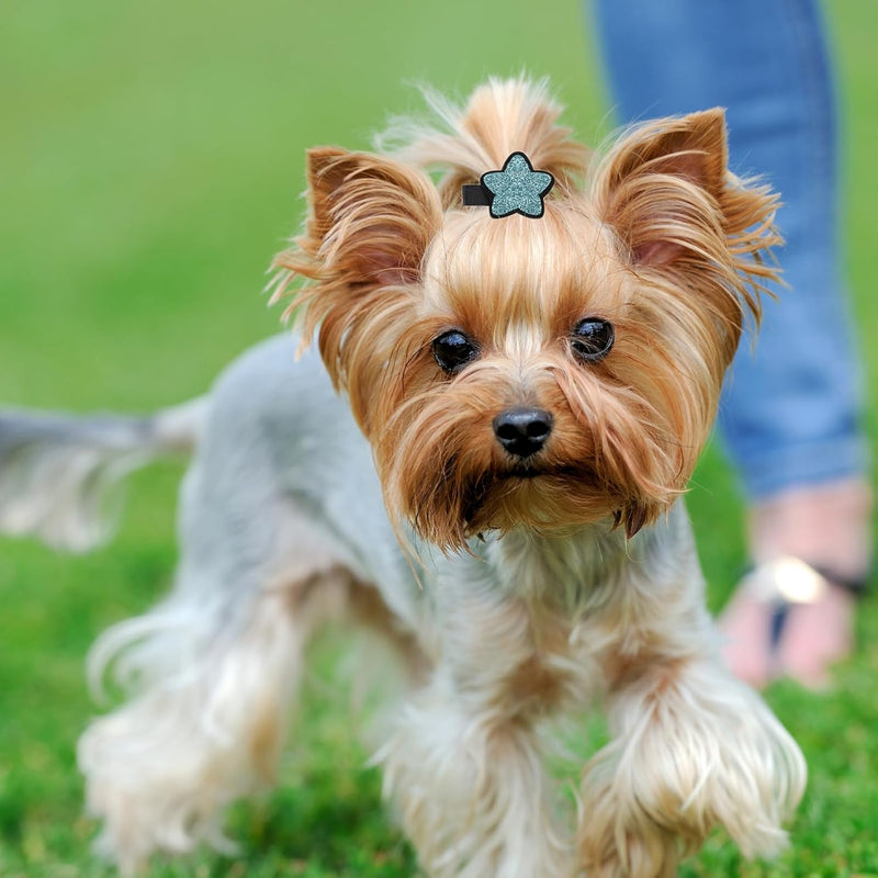 12 Pcs Girl Dog Hair Bows Small Dog Hair Clips Cute Dog Crown Hairpin Pink Hair Barrettes Rhinestones Small Dog Hair Pins for Cat Puppy Kitten Pet Party Birthday Hair Grooming Accessories - BeesActive Australia