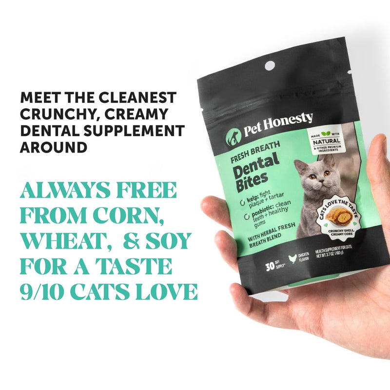 Pet Honesty Cat Dental & Multivitamin Chews Virtual Bundle — Fresh Dental Bites + Multivitamin Crunchy & Creamy Chews (30-Day Supply)