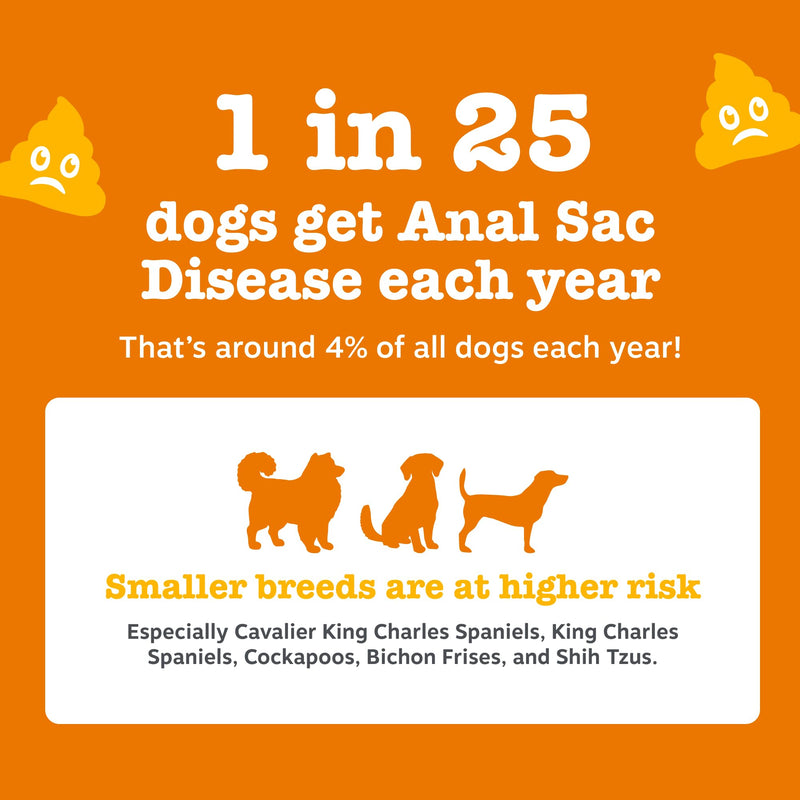Zesty Paws Scoot Away Chews for Dogs | Supports Anal Gland Function, Digestive Health & Bowel Movements | With Prebiotic Fibre, Oligofructose, Flaxseed Oil, Toasted Pumpkin Seed| Daily Use | 90 Chews