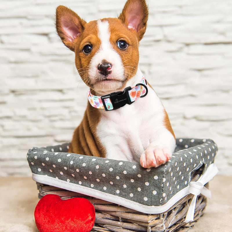ARING PET Valentine's Day Dog Collar-Cute Cotton Heart Dog Collars, Adjustable Valentine Candy Heart Pet Collars Girl Puppy Collar with Quick Release Buckle Large Z:Candy heart - BeesActive Australia