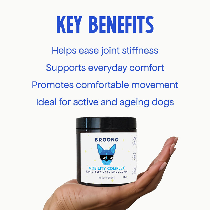 Joint Supplement for Dogs - With Glucosamine, Chondroitin, MSM, Turmeric, Ginger, Boswellia for Dogs with Stiff Joints, Arthritis - Supports Collagen Production - Natural Joint Care for All Dog Sizes