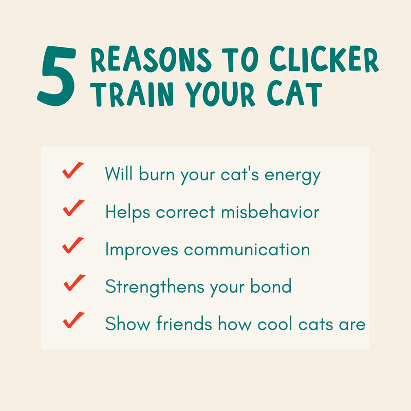 ALBERT & MIA Cat Training Kit (4 Pieces) - Quiet Clicker + Target Stick Clicker + Treats Pouch + Cat Clicker Training Start Guide (Beginner to Expert) Cat Training Set - BeesActive Australia