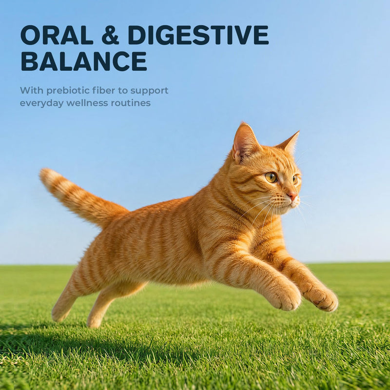 Cat Dental Care Powder for Plaque & Bad Breath - Gingivitis Support, Teeth & Gum Support with Green Tea, Cranberry & Zinc - Daily Cat Teeth Cleaning Powder