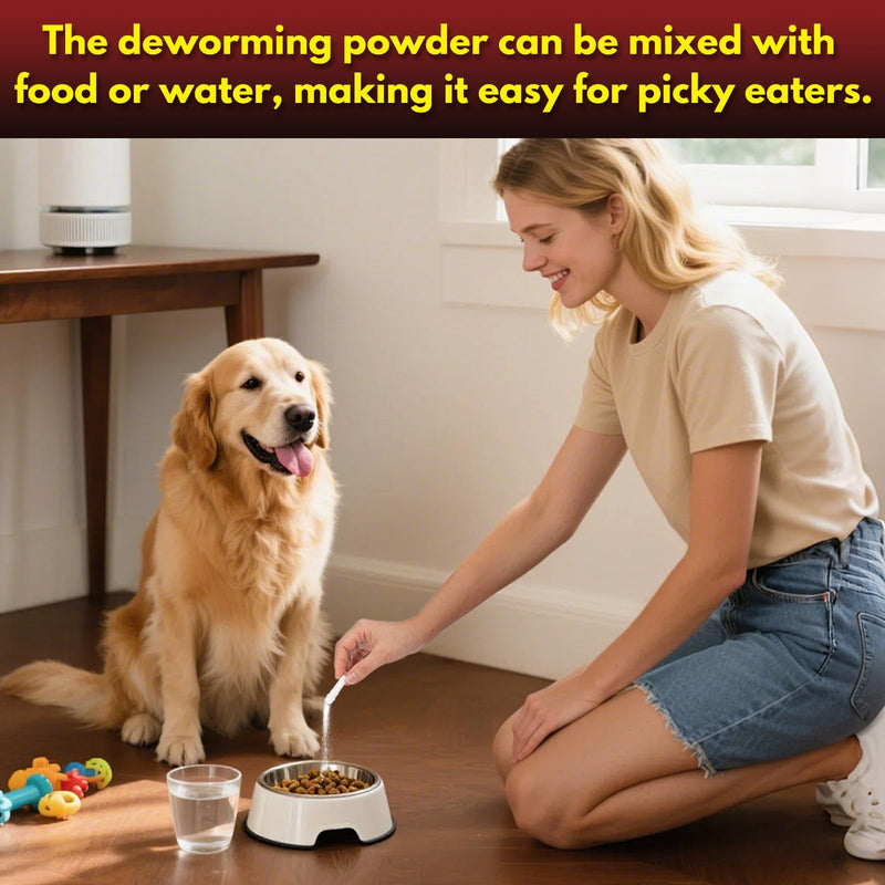 Fenbendazole Dog Dewormer Powder for Tapeworms, Roundworms, Hookworms & Whipworms, 1g Pouch (Treats 10lbs per Pouch)