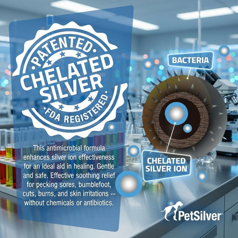 PetSilver Immune Support, Natural Nebulizer Solution, Promotes Respiratory Health in Cats & Dogs, Allergies, Sinus & Cough Treatment, Easy to Use, Patented Chelated Silver, Made in The USA, 16 fl oz - BeesActive Australia