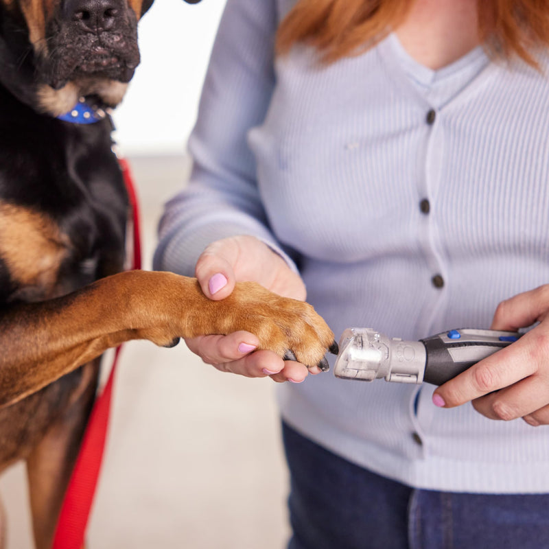 Dremel Pet Grooming Nail Guard Attachment, Ideal for Dog & Cat Nail Trimming, AT02-PGK