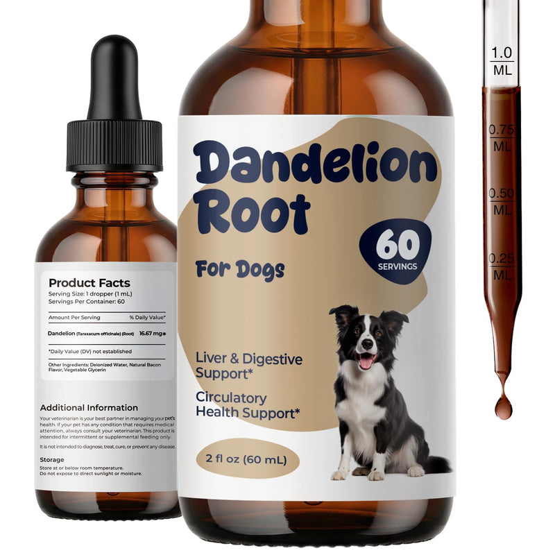Dandelion Root Drops for Dogs – Herbal Liver Support & Digestive Support for Dogs, Supports Metabolic Balance & Daily Vitality, Liquid Dog Supplement, Gentle Daily Wellness Drops, 2 fl oz (60 mL)