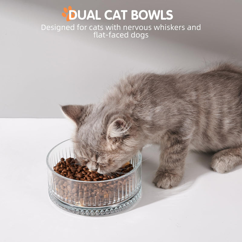 Set of 2 Glass Cat Bowls, Food and Water Bowls for Cats, Kity, 2pcs Cat Dishes, Cat Feeder (5.1 inch, 2 x Transparent Dish Bowls Glacial Rocks Raise The Water Level - BeesActive Australia