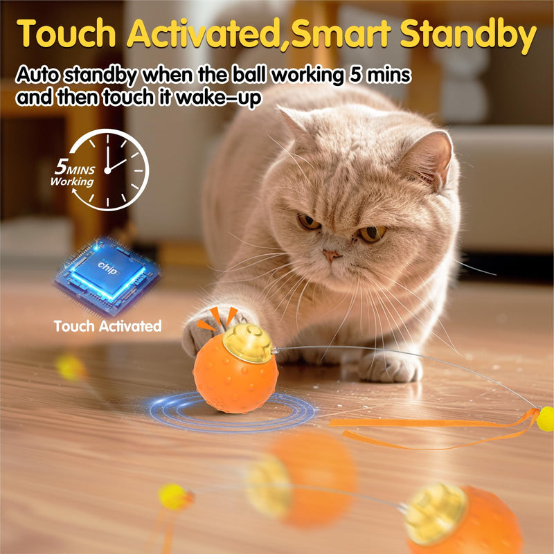 Interactive Cat Toys Balls, Automatic Moving Cat Toys for Indoor Cats, Self Rotating Ball with Motion Activated, Electric Cat Mouse Toys, USB Rechargeable - BeesActive Australia