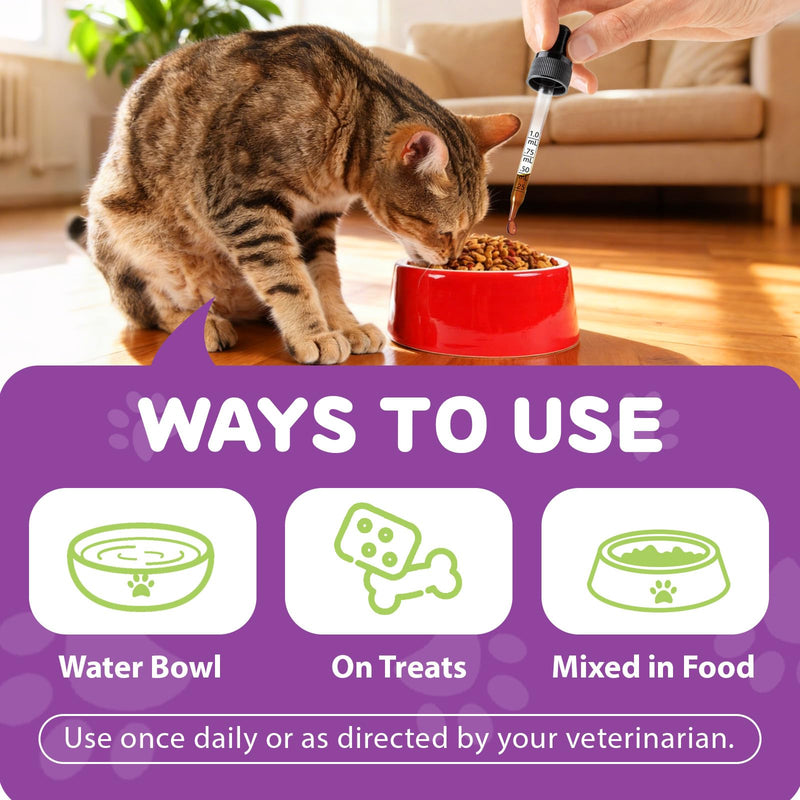 L-Lysine Drops for Cats 60ml - Cat Herbal Supplement for Immune Support, Respiratory & Eye Health - Daily Liquid Support for Cats with Natural Ingredients, Chicken Flavour - 2 fl.oz 2 fl oz