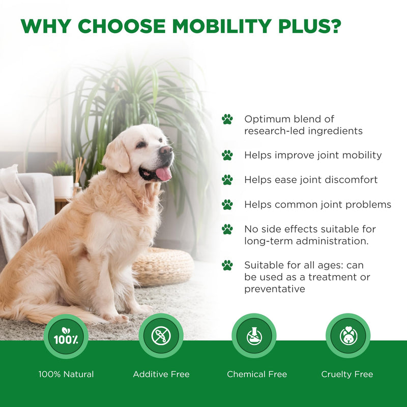 The Dog Doctors Mobility Plus Dog Joint Supplements, 150 Capsules with Glucosamine, Chondroitin, MSM & Hyaluronic Acid for Cartilage, Ligaments, Connective Tissue & Hip & Joint Care for Dogs, UK Made