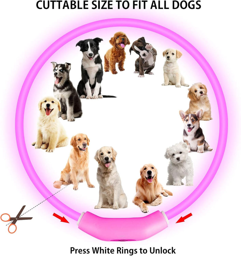 Novkin 2-Pack LED Dog Collars, Luminous Dog Collars, Rechargeable Dog Lights, Reusable Safety Collar for Small, Medium and Large Dogs, Red and Pink Blush and Powder - BeesActive Australia