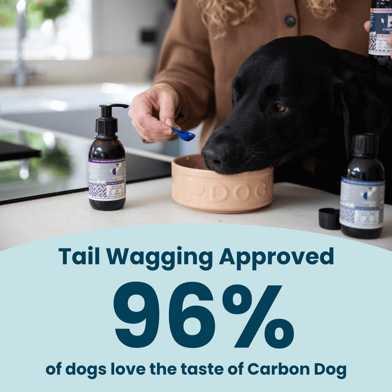 Senior Support Dog Supplement 150ml | Specially Formulated Supplements for Senior Dogs | Maintains Comfort & Vitality | 100% Natural | With Salmon Oil and Flaxseed Oil