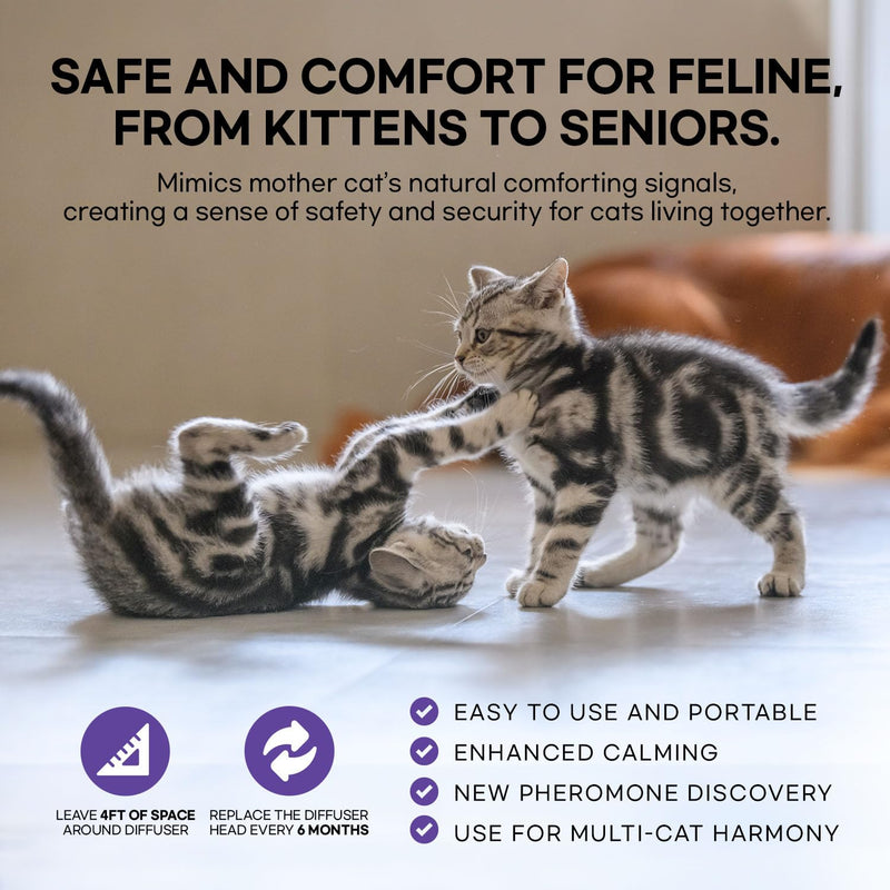 Cat Pheromones Calming Diffuser: 2 Diffusers & 2 Refills Top Value Kit – Cat Calming Diffuser Helps Reduce Scratching, Peeing, Meowing, Hiding, Urine Marking & Aggression Orange