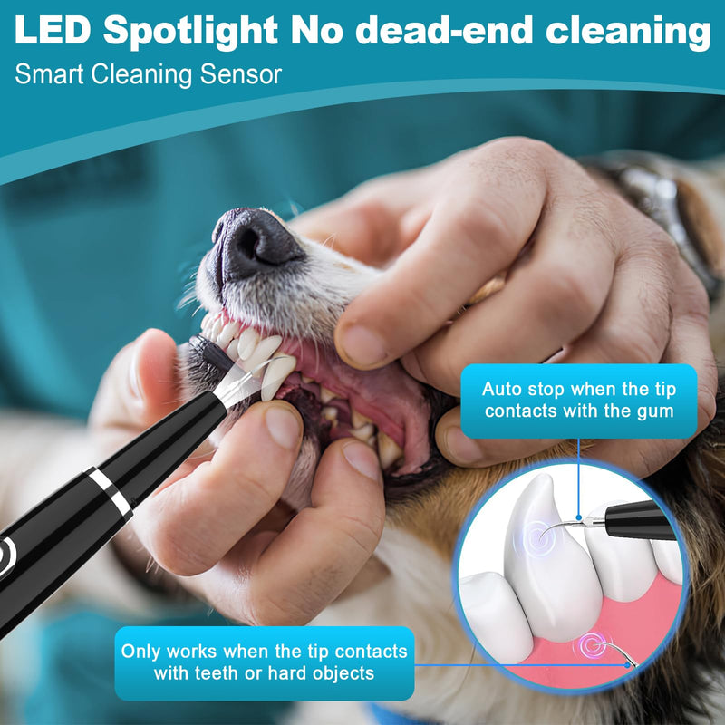 Electric Dog Plaque Remover for Teeth, Pet Teeth Cleaning Kit Products for Tartar & Plaque Off, with LED Light, Rechargeable Pet Dog Tooth Cleaner Dental Care Tools (Ebony)