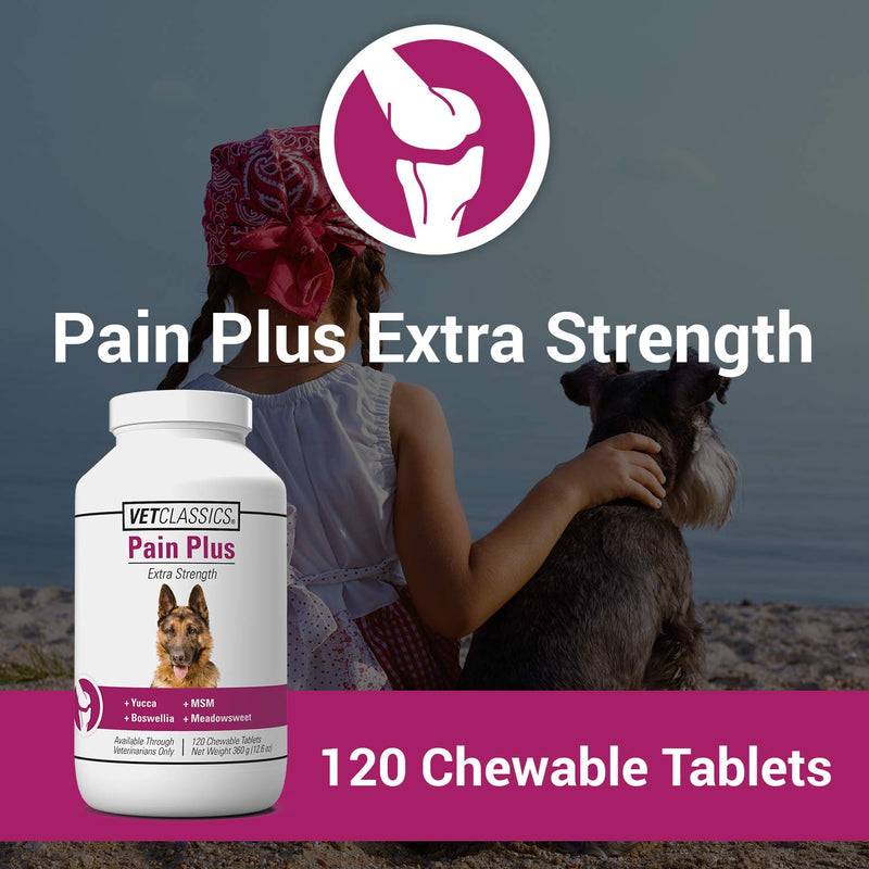 Vet Classics Pain Plus Extra Strength Health Supplement for Dogs - 120 Chewable Tablets - BeesActive Australia