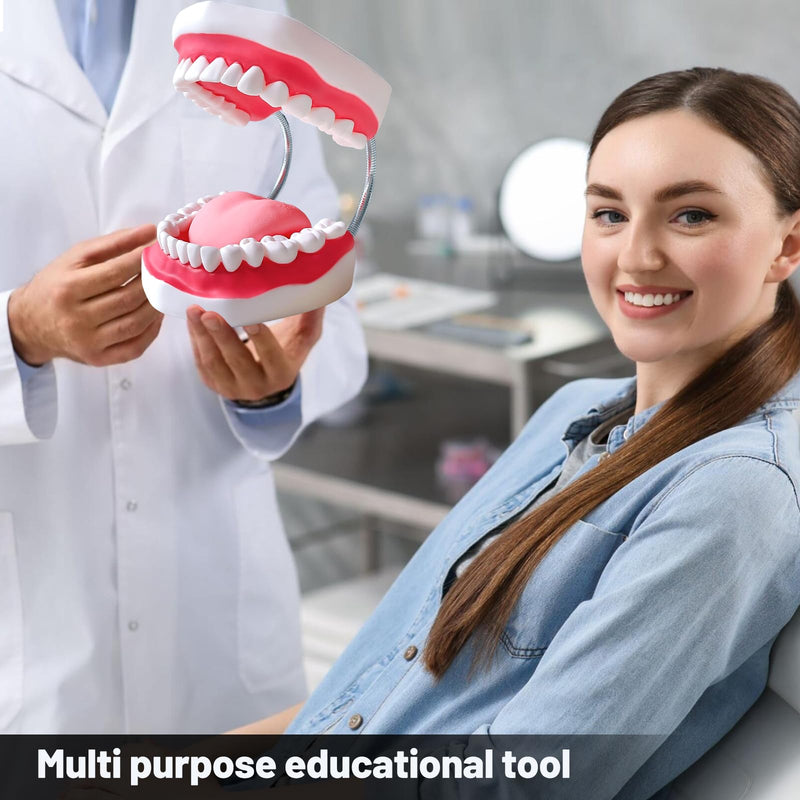 Teeth Mouth Model 6X Enlarged with Metal Hinge, Complete Set Teeth and Removable Tongue, PVC Speech Therapy Tool, Includes Toothbrush, Ideal for Brushing Teaching Dental Model and Language Education - BeesActive Australia