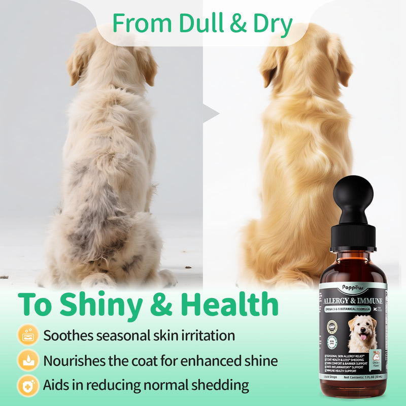 Allergy & Immune Supplement for Dogs - Omega 3-6-9 Liquid Drops for Seasonal Allergy Support, Skin Itch Relief, Less Shedding, Coat Health - with Biotin, Turmeric - Chicken Flavor - 2 FL.OZ
