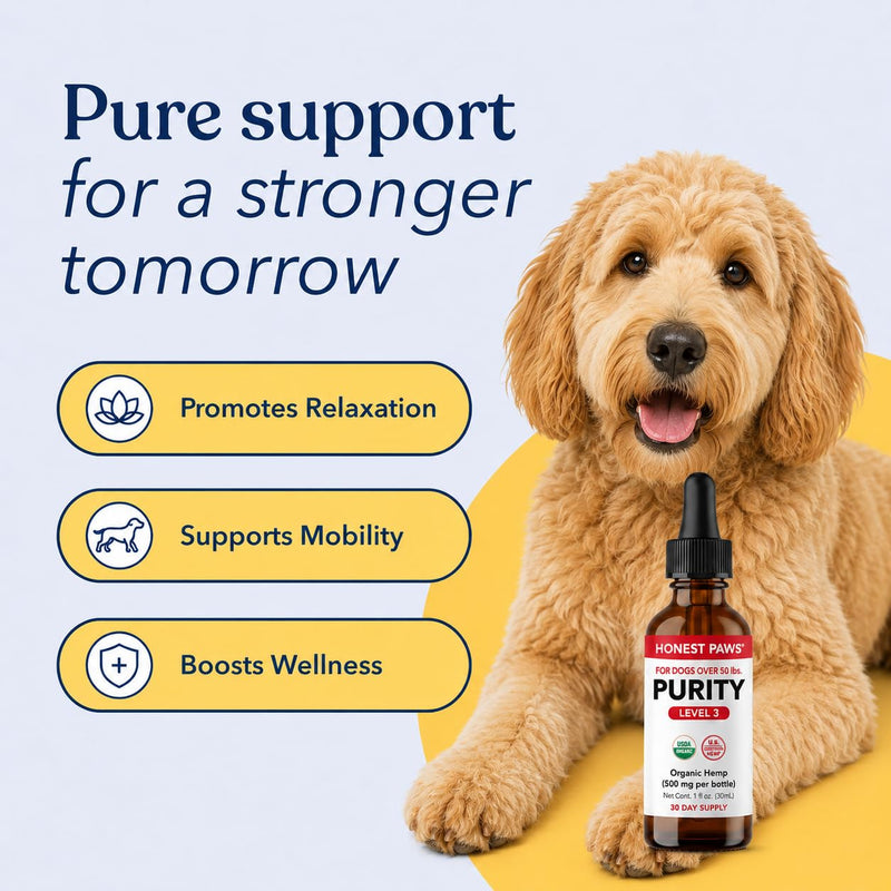 Honest Paws Hemp Oil for Dogs - Natural Hemp Seed Oil Drops Rich in Omega 3 6 9 - May Help Support Calm Behavior, Physical Comfort & Overall Wellness - Made in USA Level 3
