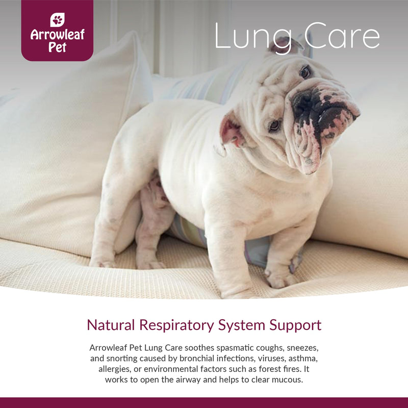 Lung Care by NaturPet Inc for Cats and Dogs | Respiratory Support for Pets with Breathing Issues | 100mL Herbal Tincture