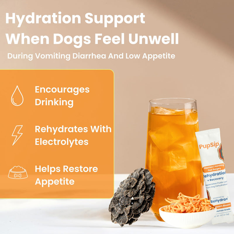 Dog Hydration Support – Helps During Stomach Upset, Vomiting & Diarrhea – Restores Appetite & Boost Energy with Electrolytes and Turkey Tail Mushroom, 12 Sticks