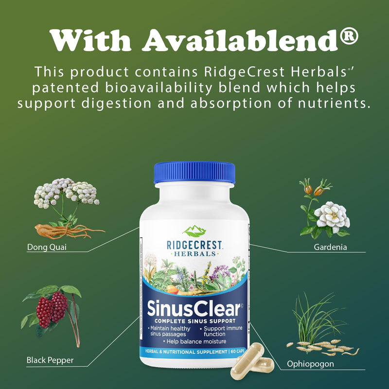 RidgeCrest Herbals SinusClear Mullein Sinus, Nasal and Immune Support 60 Ct | 30 Servings, Mullein Leaf, Bromelain, Vitamin C, Zinc, Natural Mucus and Respiratory Wellness, Vegan Herbal Formula